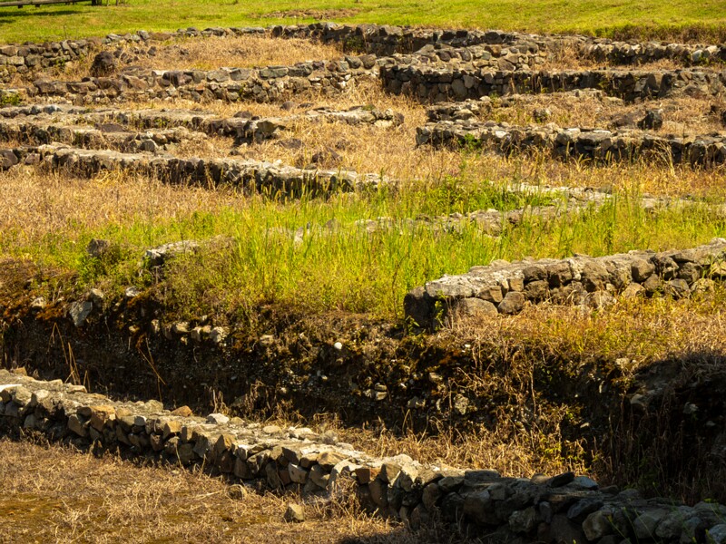 Gonio Fortress  2025-08-20 2-20