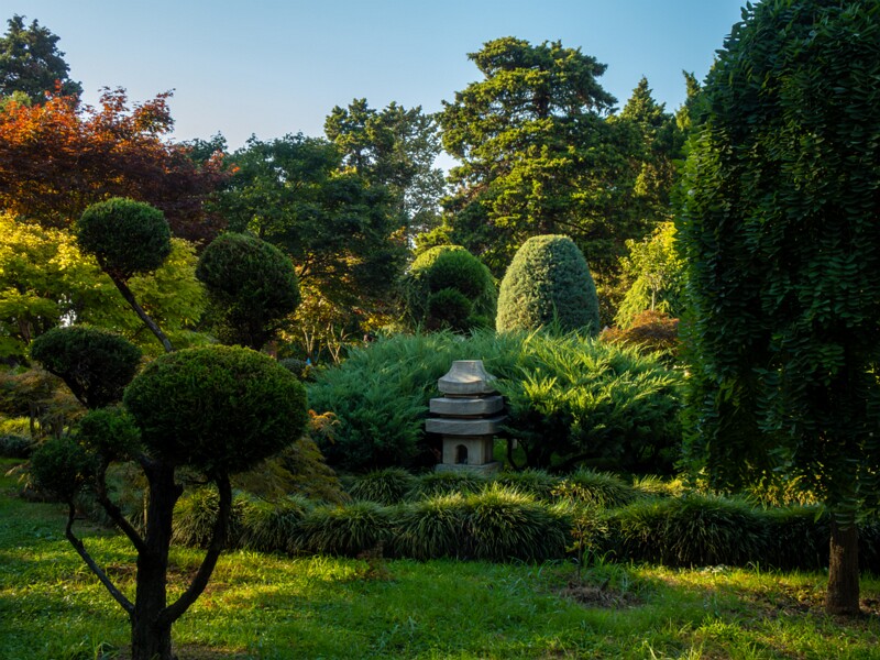 Japanese garden  2025-08-18 1-11
