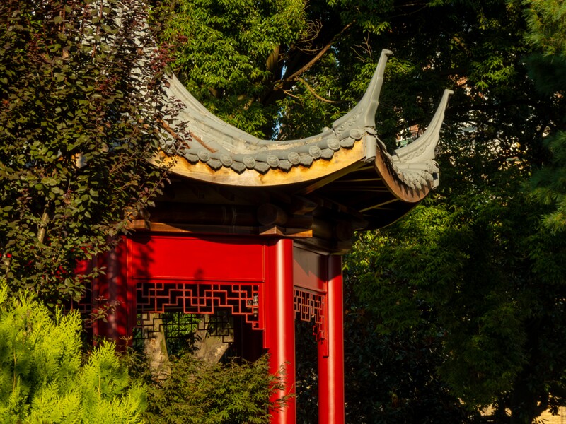 Japanese garden  2025-08-18 1-15