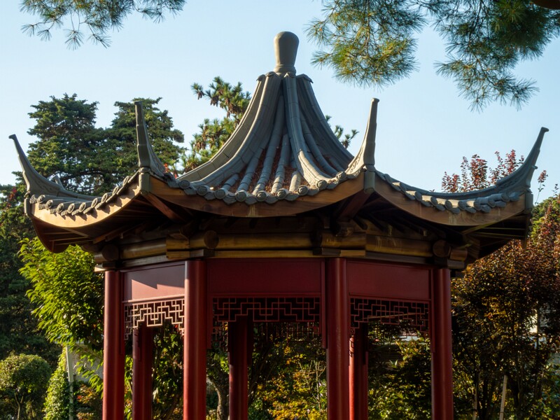 Japanese garden  2025-08-18 1-3