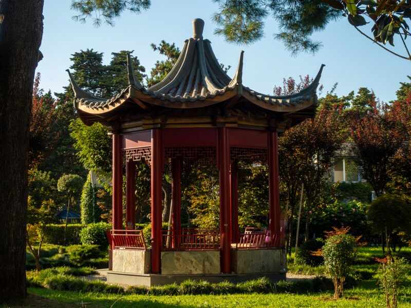 Japanese garden  2025-08-18 1-4