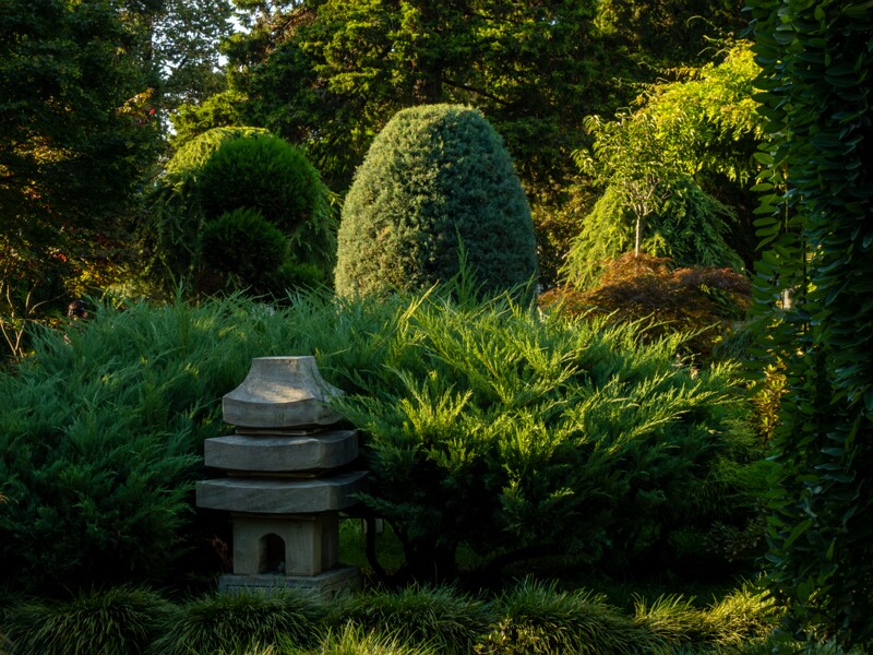 Japanese garden  2025-08-18 1-8