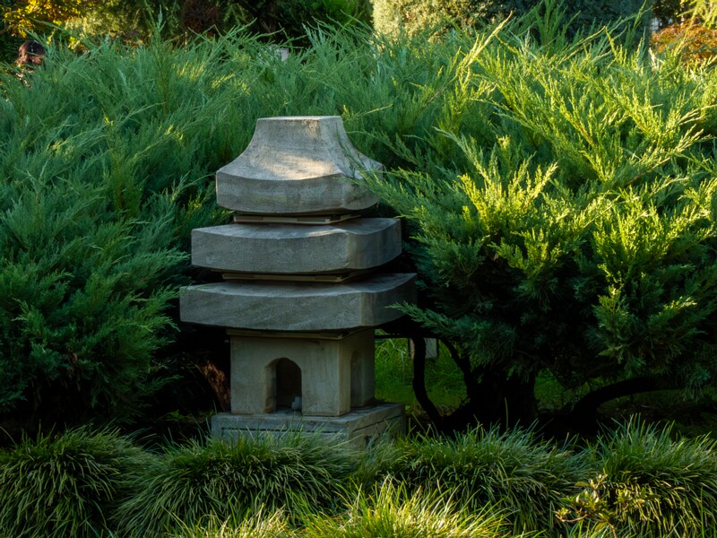 Japanese garden  2025-08-18 1-9