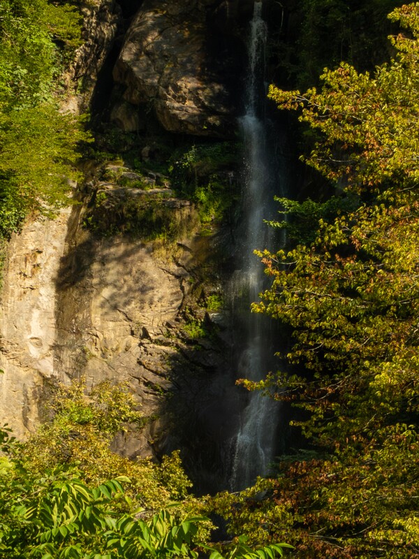 Makhuntseti Waterfall  2025-08-20 1-2