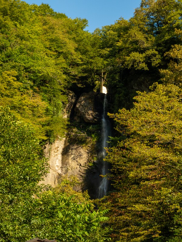 Makhuntseti Waterfall  2025-08-20 1-3