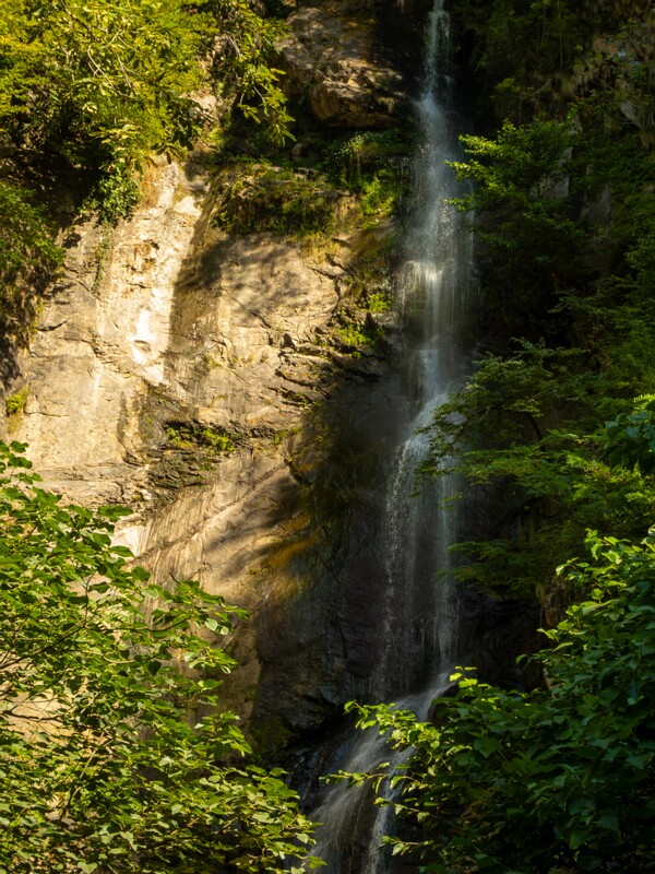 Makhuntseti Waterfall  2025-08-20 1-4