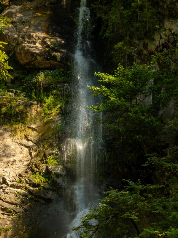 Makhuntseti Waterfall  2025-08-20 1-7