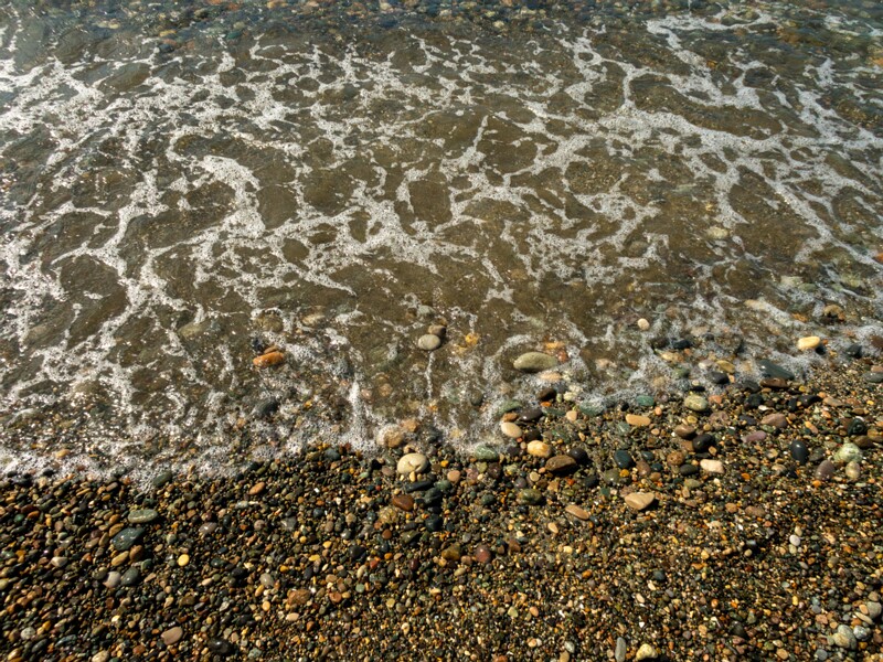 Botanical Garden Beach Viewpoint  2025-08-19 1-4